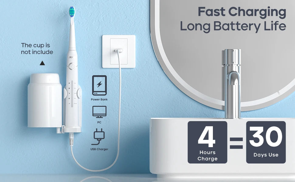 SeagoBrush USB – Brosse À Dents Électrique Rechargeable + 10 Têtes