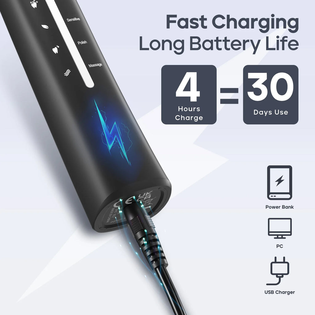 SeagoBrush USB – Brosse À Dents Électrique Rechargeable + 10 Têtes