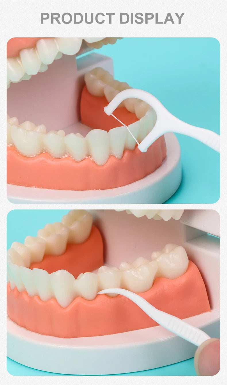 ClaryFloss – Porte-Fil Dentaire Portable